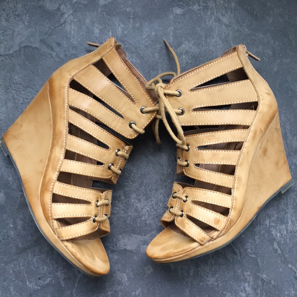 CUTOUT WEDGES